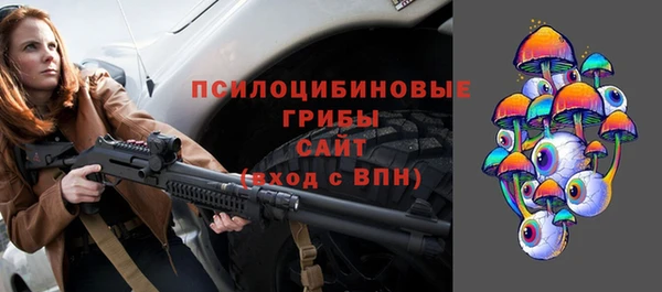 гидропоника Алзамай