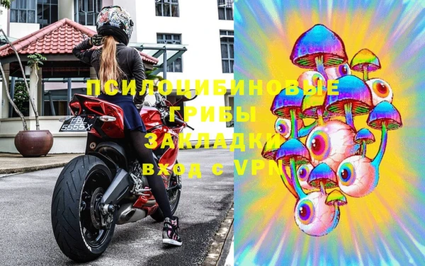гидропоника Алзамай