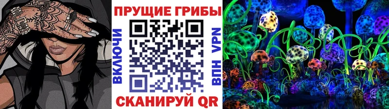 blacksprut ONION  наркошоп  Железногорск  Псилоцибиновые грибы MAGIC MUSHROOMS 